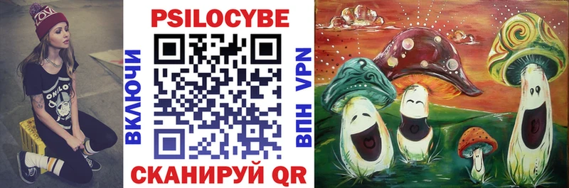 Купить закладки  Красногорск  Галлюциногенные грибы Cubensis 